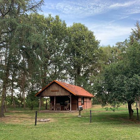 הוילה Uelsen Ferienhaus Am Waldchen מראה חיצוני תמונה