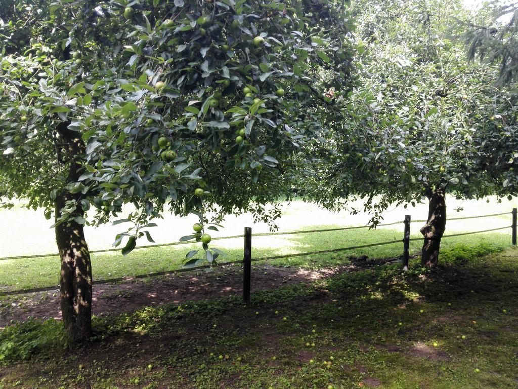הוילה Uelsen Ferienhaus Am Waldchen מראה חיצוני תמונה
